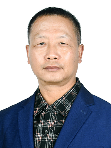 陶毅